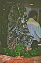 Show Picture Full Size