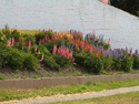 Show Picture Full Size