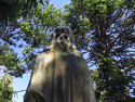 Show Picture Full Size