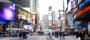 Show Picture Full Size