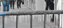 Show Picture Full Size