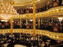 Show Picture Full Size