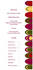 Show Menu Full Size