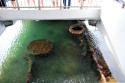 Show Picture Full Size