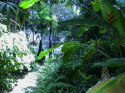 Show Picture Full Size