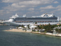 Show Picture Full Size
