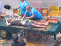 Show Picture Full Size