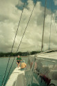 Show Picture Full Size