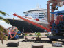 Show Picture Full Size
