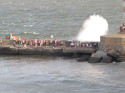 Show Picture Full Size