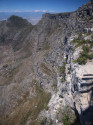 Show Picture Full Size