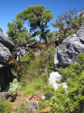 Show Picture Full Size