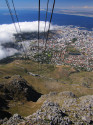 Show Picture Full Size