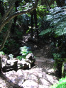 Show Picture Full Size