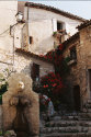 Show Picture Full Size